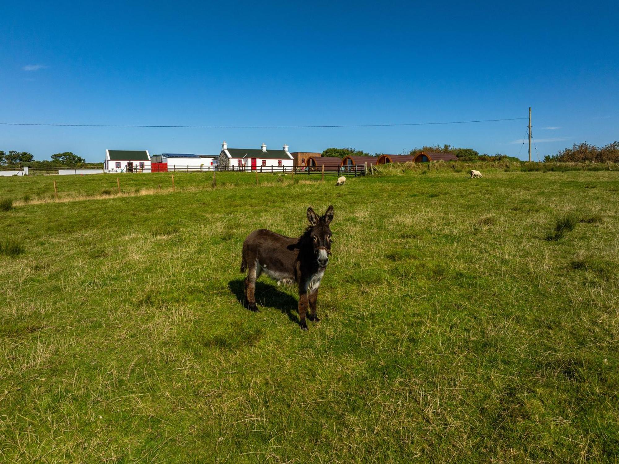 Geraghtys Farmyard Pods Hotel Belmullet Kültér fotó